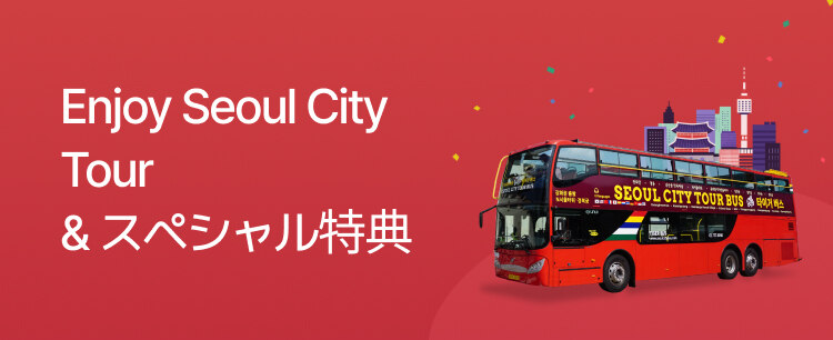 Enjoy Seoul City Tour